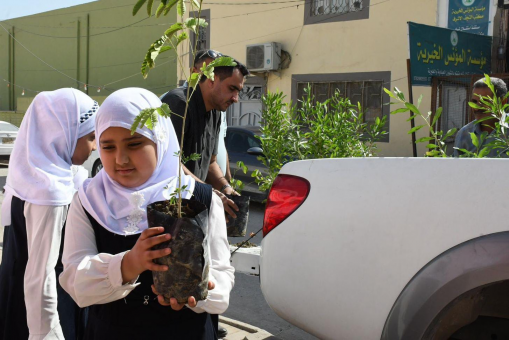 تربية النجف تواصل حملة تشجير المدارس أكثر من 200 ش