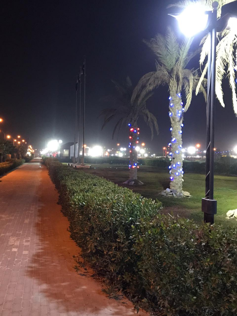 صورة مرفقة