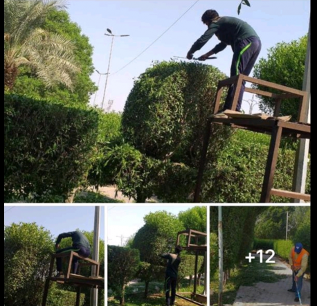 بلدية البصرة تنفذ عددا من الاعمال الخدمية في مناطق
