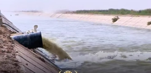   انخفاض نسبة الملوحة في مياه البصرة مؤشر إيجابي  