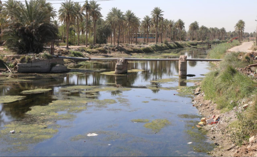حكومة النجف " توجه الدوائر المعنية بمتابعة مك