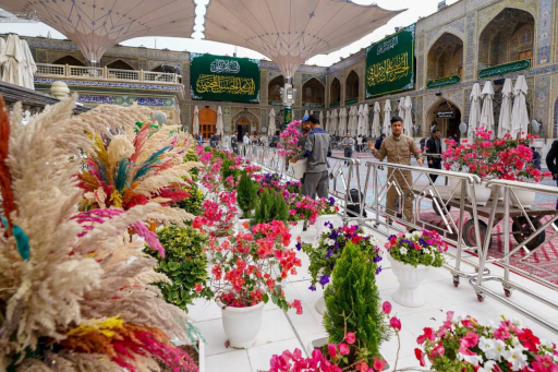   نشر الورود الطبيعية في مرقد الامام علي (ع) استعد