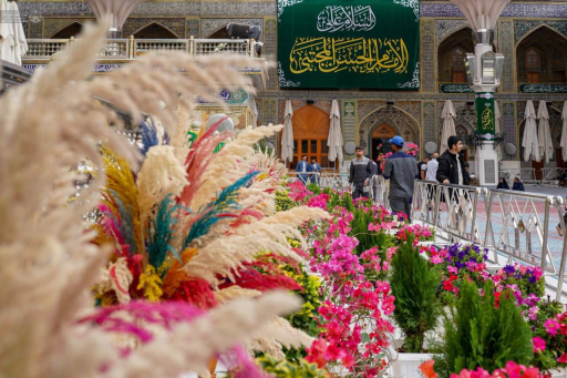   نشر الورود الطبيعية في مرقد الامام علي (ع) استعد