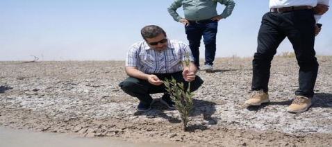 قريبا . .افتتاح مشتل نموذجي ضمن ستراتيجية تشجير ال