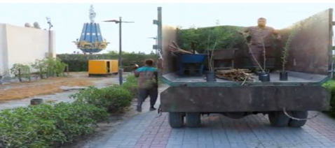 بلدية البصرة تطلق حملة تشجير  ( نرجعها خضرة )