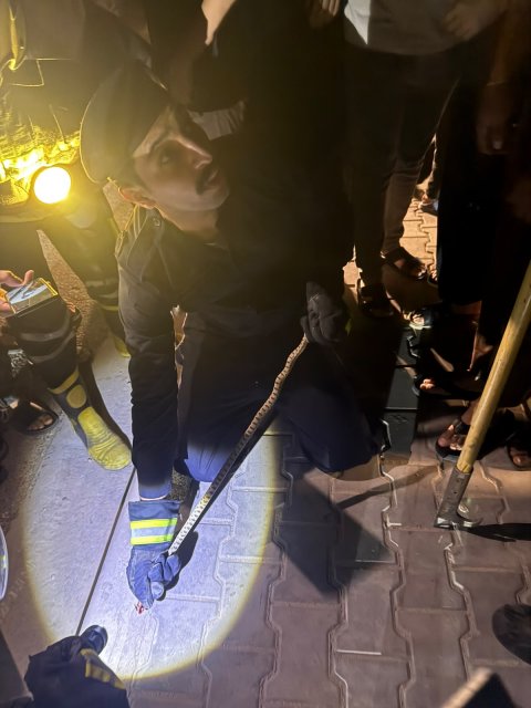 صورة مرفقة
