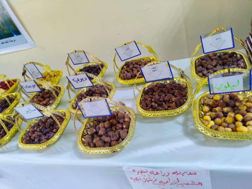 افتتاح المهرجان التسويقي الزراعي للتمور و النخيل ا