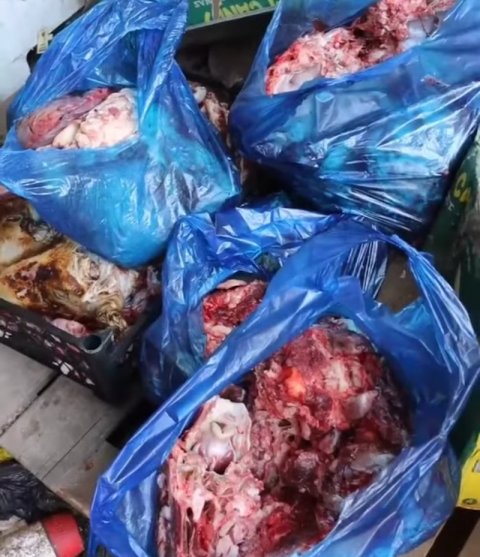 اتلاف 300 كيلوغرام من اللحوم التالفة في سوق البصرة القديم